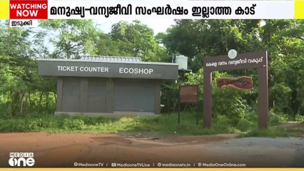 നാടിന്റെ ഒത്ത നടുവിൽ... നഗര മധ്യത്തിൽ ഒരു റിസർവ് വനം.... അറിയാം ഇടുക്കിയിലെ നഗരവനത്തെക്കുറിച്ച്