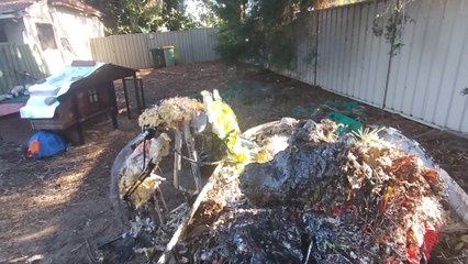 Danger of owning Home Hyenas [TM]