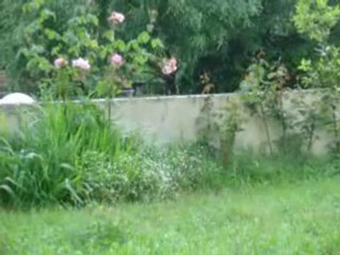 Jardin les mésanges 12mai08