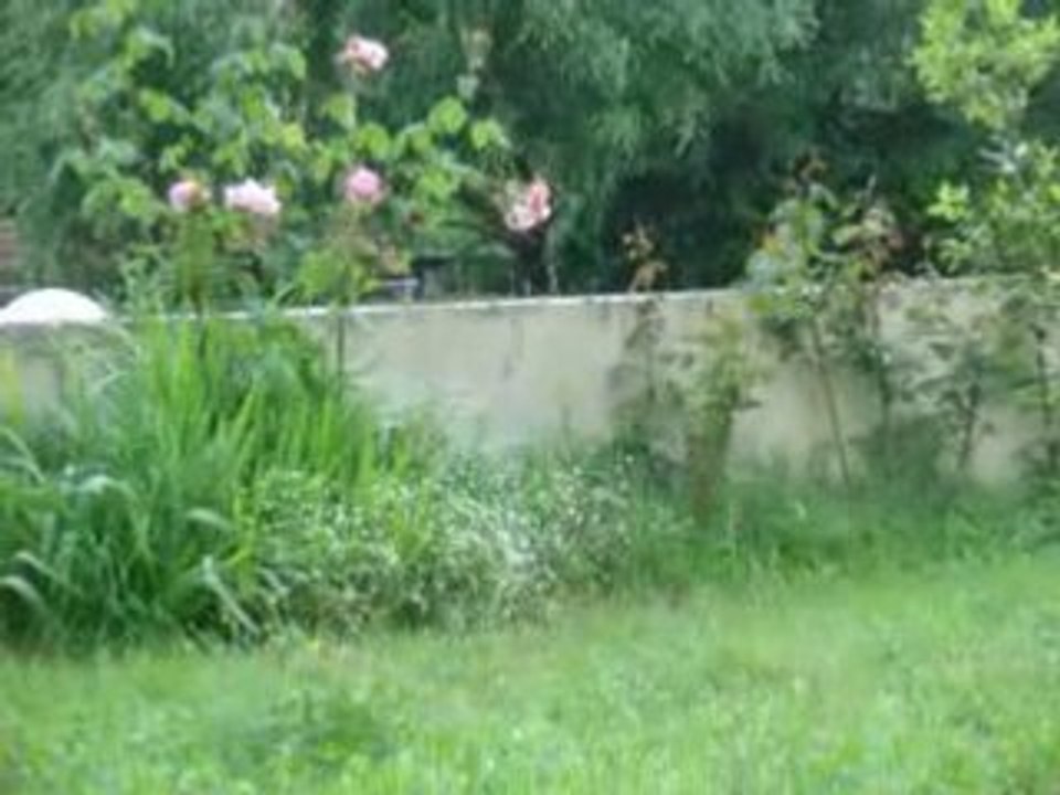 Jardin les mésanges 12mai08