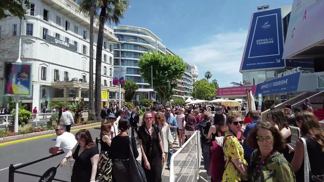 Fest Track On Sirk TV Quick Look: CANNES FILM FESTIVAL 2025 - [Cannes, France] - Part I