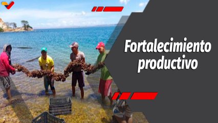 Programa 360º | CONPPA Río Caribe impulsa el cultivo de mejillones en el estado Sucre