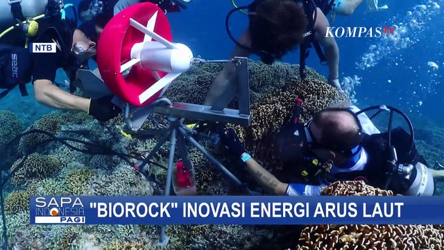 Soal Biorock, Inovasi Energi Arus Laut hingga Restorasi Terumbu Karang