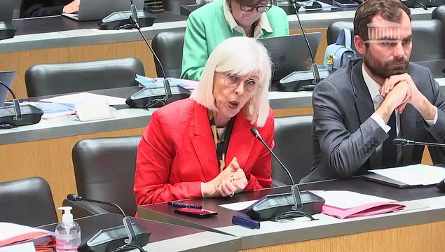 Commission des lois et Commission des affaires économiques : M. Manuel Valls, ministre des Outre-mer et discussion générale sur les projets de loi de programmation pour la refondation de Mayotte - Mardi 10 juin 2025