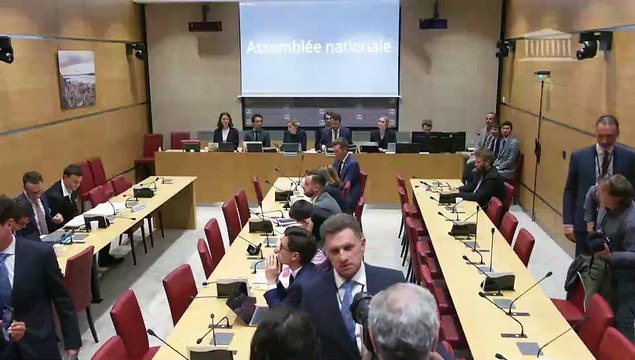 Effets psychologiques de TikTok sur les mineurs : Auditions diverses - Mardi 10 juin 2025