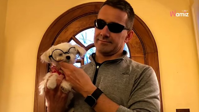 Kunden wollen ihren Welpen einschläfern lassen, weil er ihnen zu teuer ist: Der Tierarzt hat keine Zeit zum Nachdenken