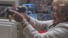 Amor a primera vista: abuela conoce a su nuevo nieto perruno y derrite más de 4 millones de corazones
