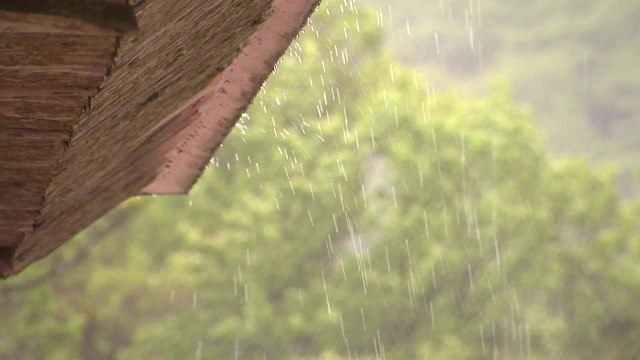 [날씨] 첫 태풍 '우딥' 발생...제주도 내일부터 장마, 주말 호우 / YTN