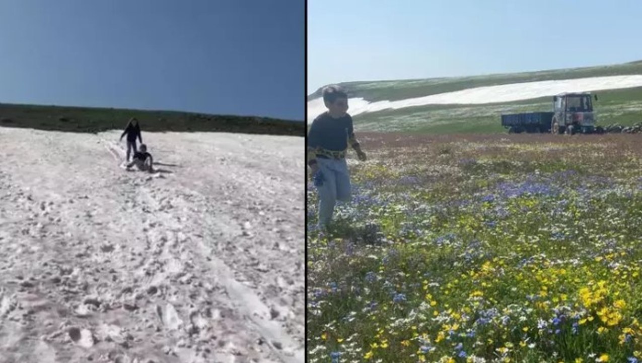 Haziran ayında yaylada aynı anda iki mevsim: Baharda açan çiçeklerle karlar aynı anda görüntülendi