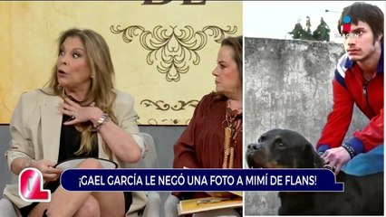 Mimí, de Flans, le pidió una foto a Gael García y se quedó esperando