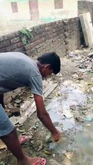 Maine ek amrud 🍏 ka ped lagaya har badlav pehle kadam se shru hota hai