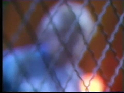 Johnny Hallyday - Sacrée Soirée TF1 (06 Juin 1990) - Chanson Himalaya en Live