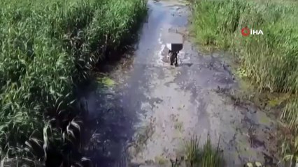 Bursa'da Sülük toplamak için gitti kayboldu