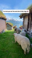 Rakssetra, Norvège — entre rêve et réalité 🇳🇴