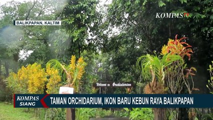 Orchidarium Kebun Raya Balikpapan, Rumah 2.000 Spesimen Anggrek Langka Kalimantan