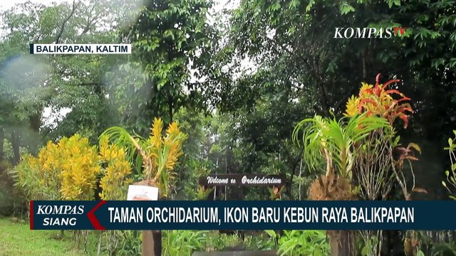 Orchidarium Kebun Raya Balikpapan, Rumah 2.000 Spesimen Anggrek Langka Kalimantan