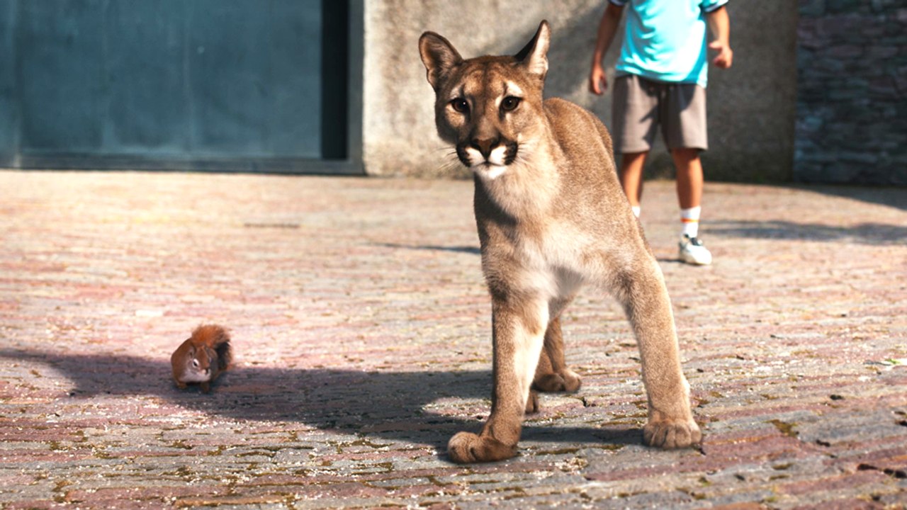 Woodwalkers 2 Teaser DF