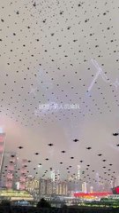 Une formation de drones rentre au bercail