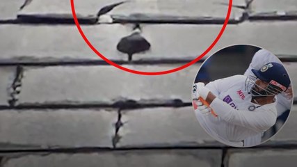 Pant के छक्के से टूटा County Cricket ग्राउंड का छत!