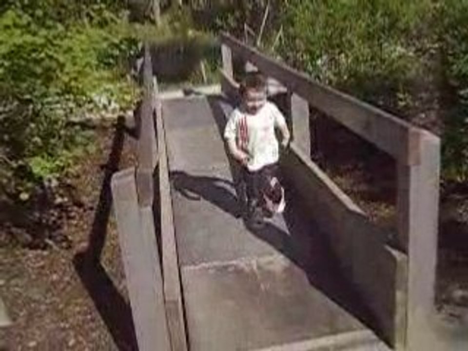 le vaiseau le pont noah