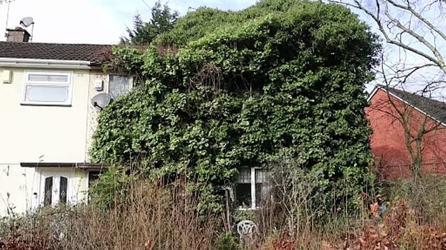 'Eyesore' house swallowed by trees is finally cleared after 40 years