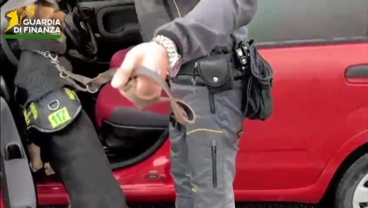 Traffico internazionale di cocaina su asse Sardegna-Olanda: 3 arresti e sequestri per oltre 3 milioni (11.06.25)