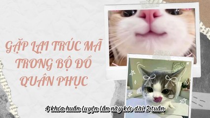 Truyện Audio Hay || Gặp Lại Trúc Mã Trong Bộ Đồ Quân Phục || Thiên Thần Dắt Truyện