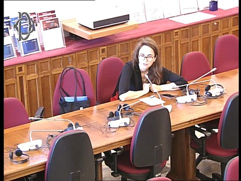 Roma - Indagine conoscitiva dinamiche geopolitiche regione dell'Artico - Audizione Luca Cinciripini - IAI (11.06.25)