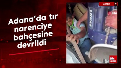 Adana'da zincirleme kazada tır narenciye bahçesine devrildi