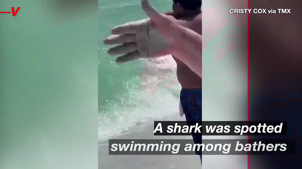 Beachgoers Stunned as Shark Appears in Shallow Waters.mp4