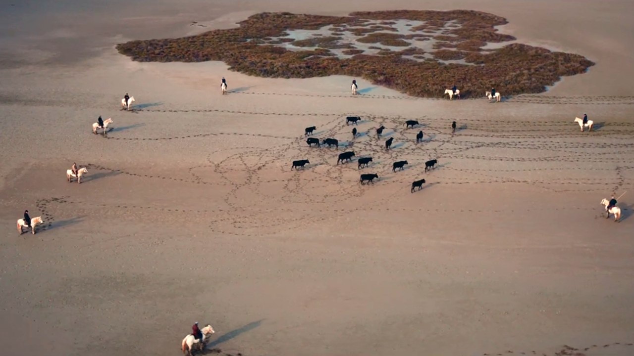 An Ordinary Case Trailer OmeU