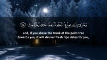 Surah Maryam (Be Heaven) سورة مريم  Omar Hisham Al Arabi
