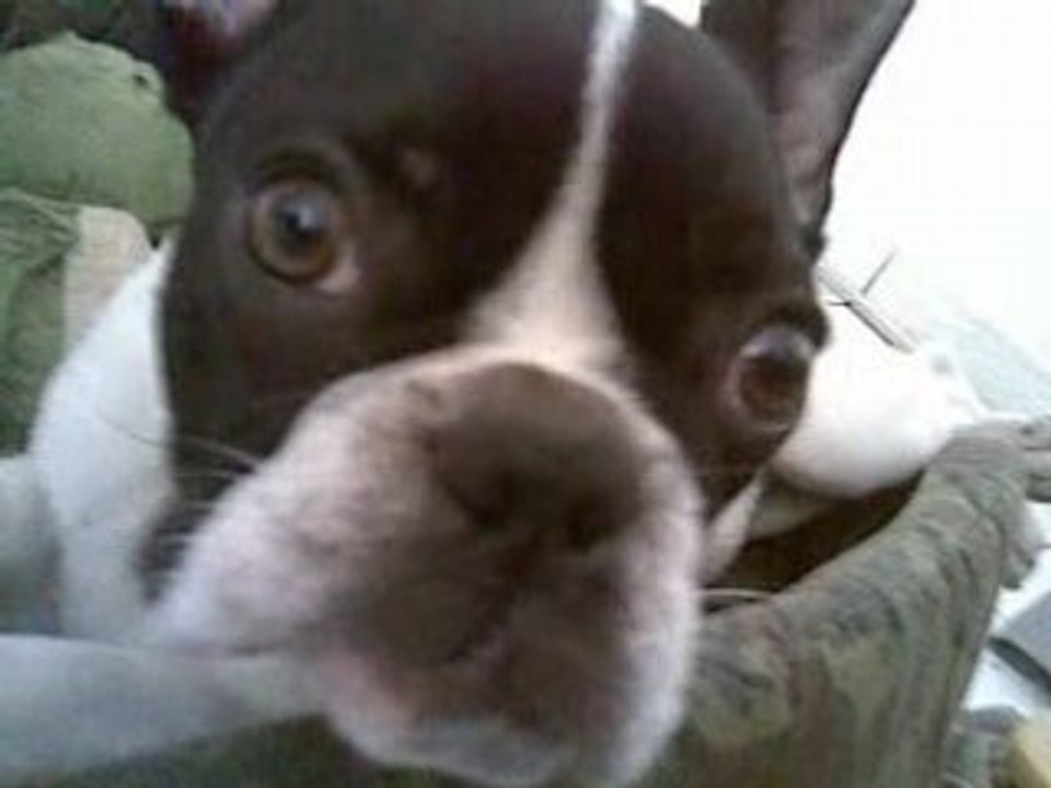 13042008