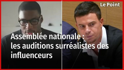 Assemblée nationale :  les auditions surréalistes des influenceurs TikTok