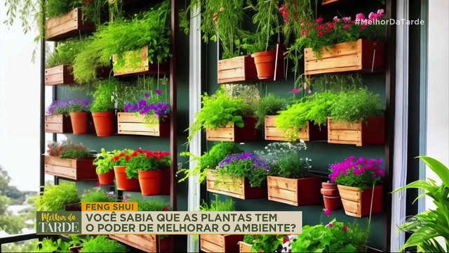 O que é paisagismo funcional? Plantas tem o poder de melhorar o ambiente | Melhor da Tarde