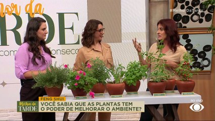 Por que é bom ter manjericão em casa? Veja benefícios no Melhor da Tarde