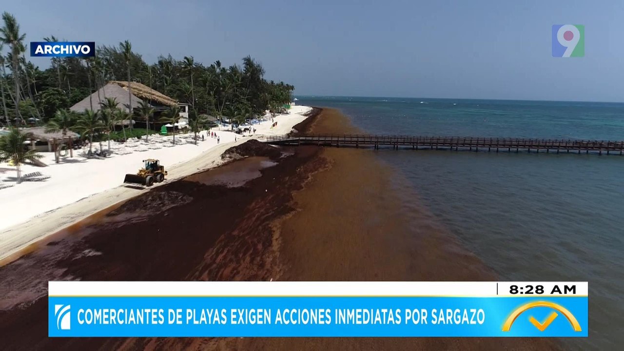 Comerciantes de playas exigen acciones inmediatas por sargazo | El Despertador