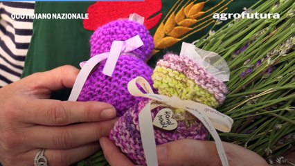 Agrofutura Firenze ospita Alessandra Antinori, produttrice di lavanda