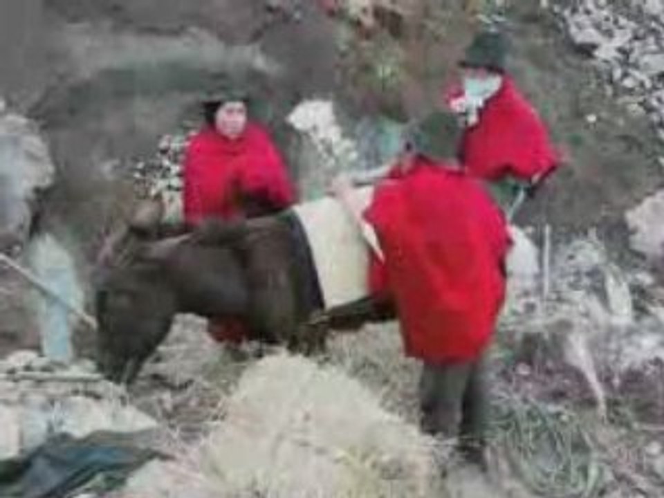 Equateur, los Hieleros