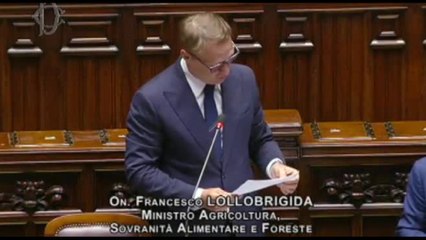 Lollobrigida: indiscrezioni Ddl caccia non corrispondono al vero