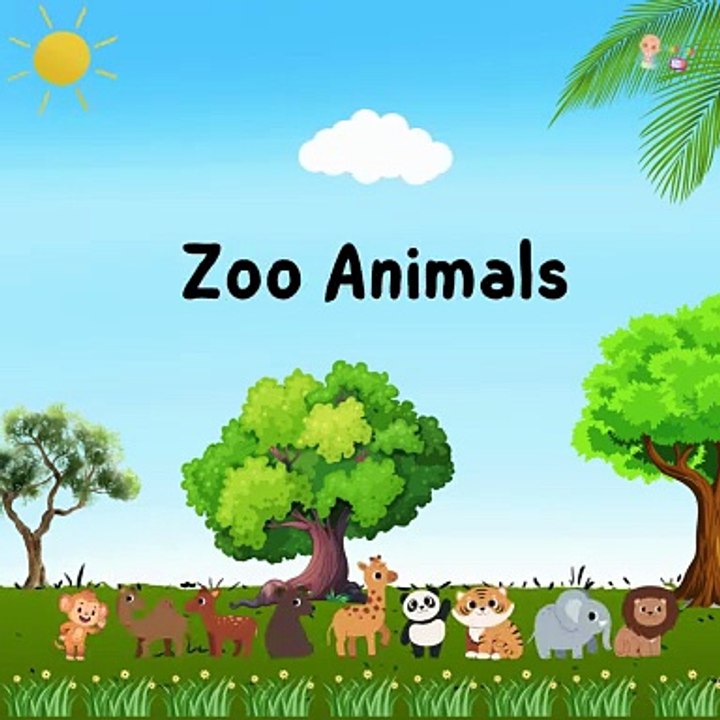 Zoo Animals for Kids and Toddlers | Learn Animal Names with Fun Pictures | Education Videos | Preschool Learning |