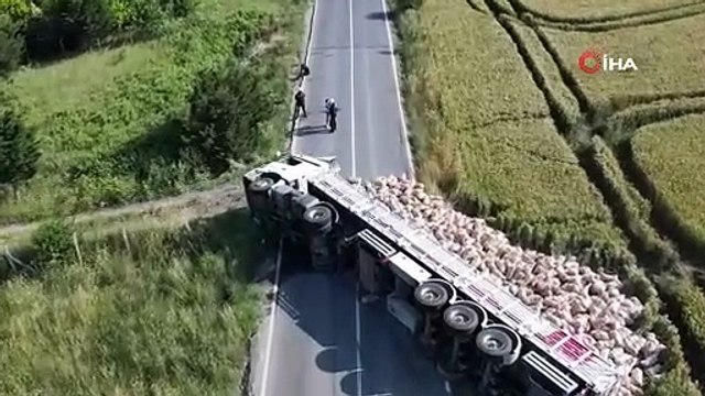 Arnavutköy’de patates yüklü tır devrildi, tonlarca patates tarlaya döküldü