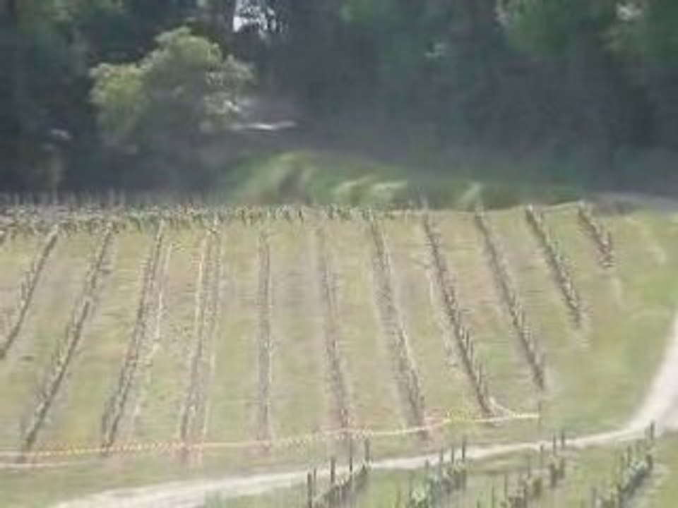 Puisseguin