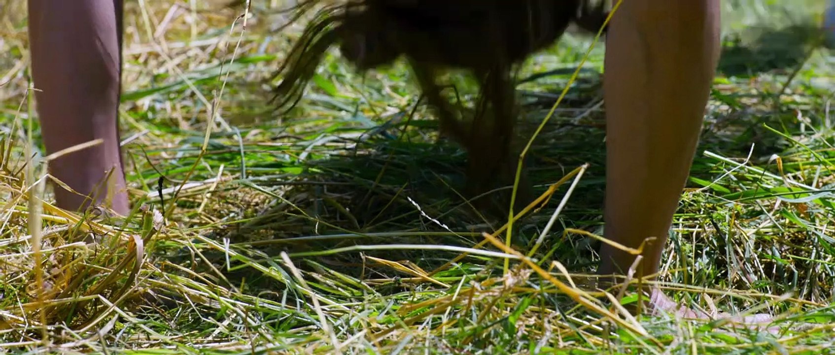 Verrückt nach Cecile OVOmU Trailer