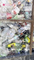 Estos son los materiales que más se usan para reciclaje en Durango