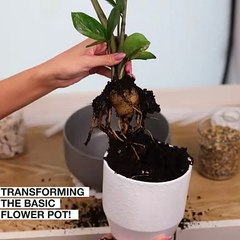 From a boring flower pot to a fancy one! 😍