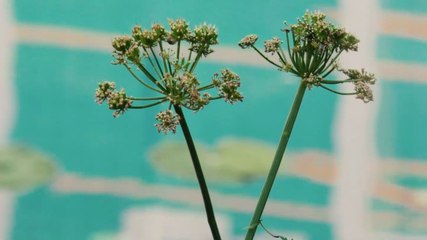 2025 Réflexions * Trigone Production