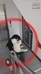 Ces grands-parents reçoivent une visite inattendue à la maison