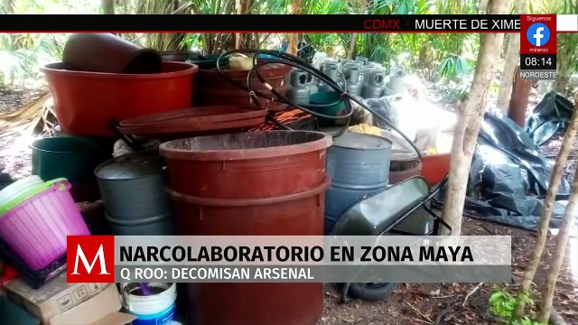 Decomisan narcolaboratorio de drogas sintéticas en la Zona Maya, Quintana Roo