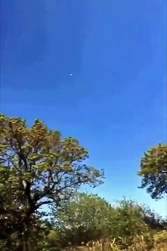 i - Twitch clips compilation ! #clip #twitch #funny #compilation #satisfyingvideo